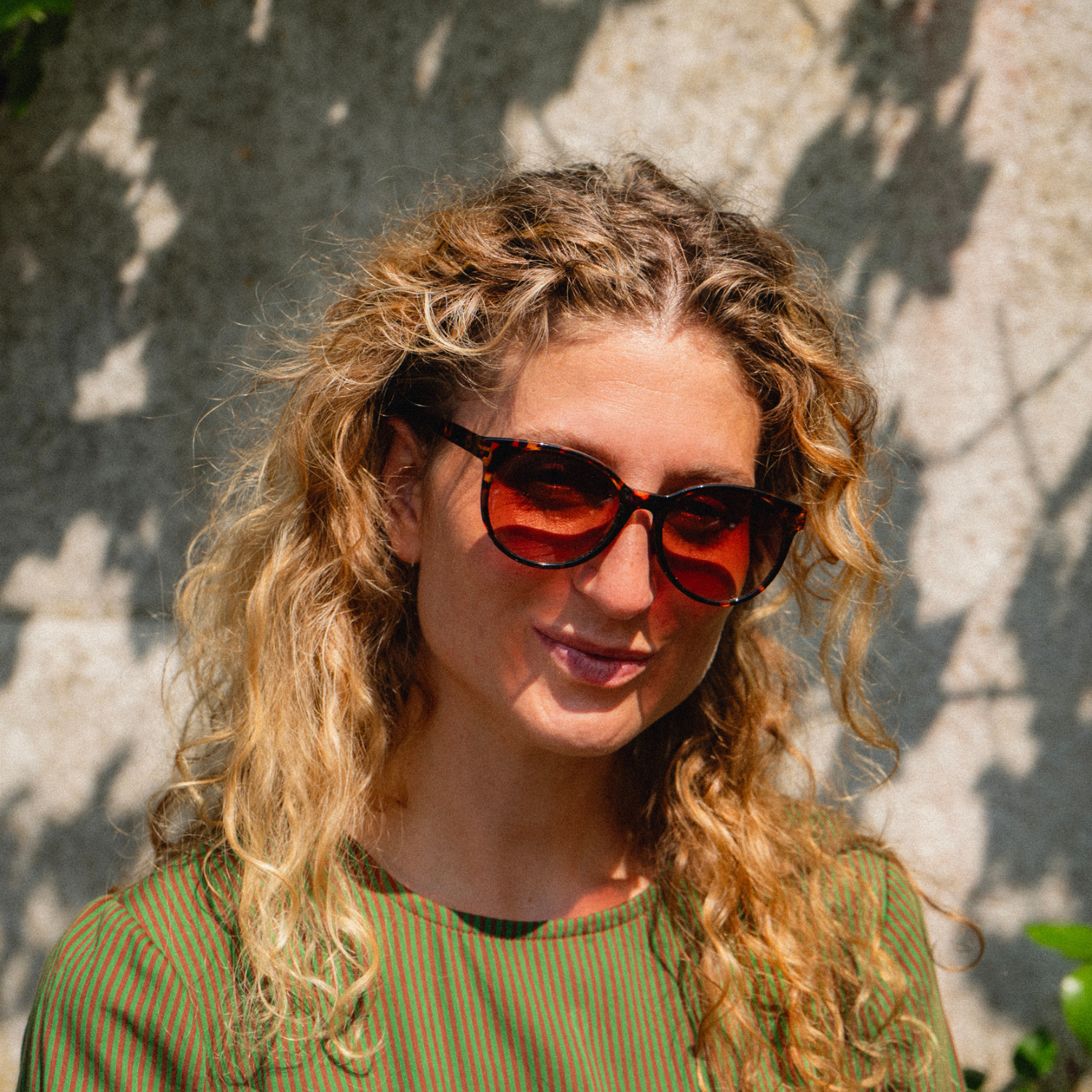 Sunglasses City - tortoise