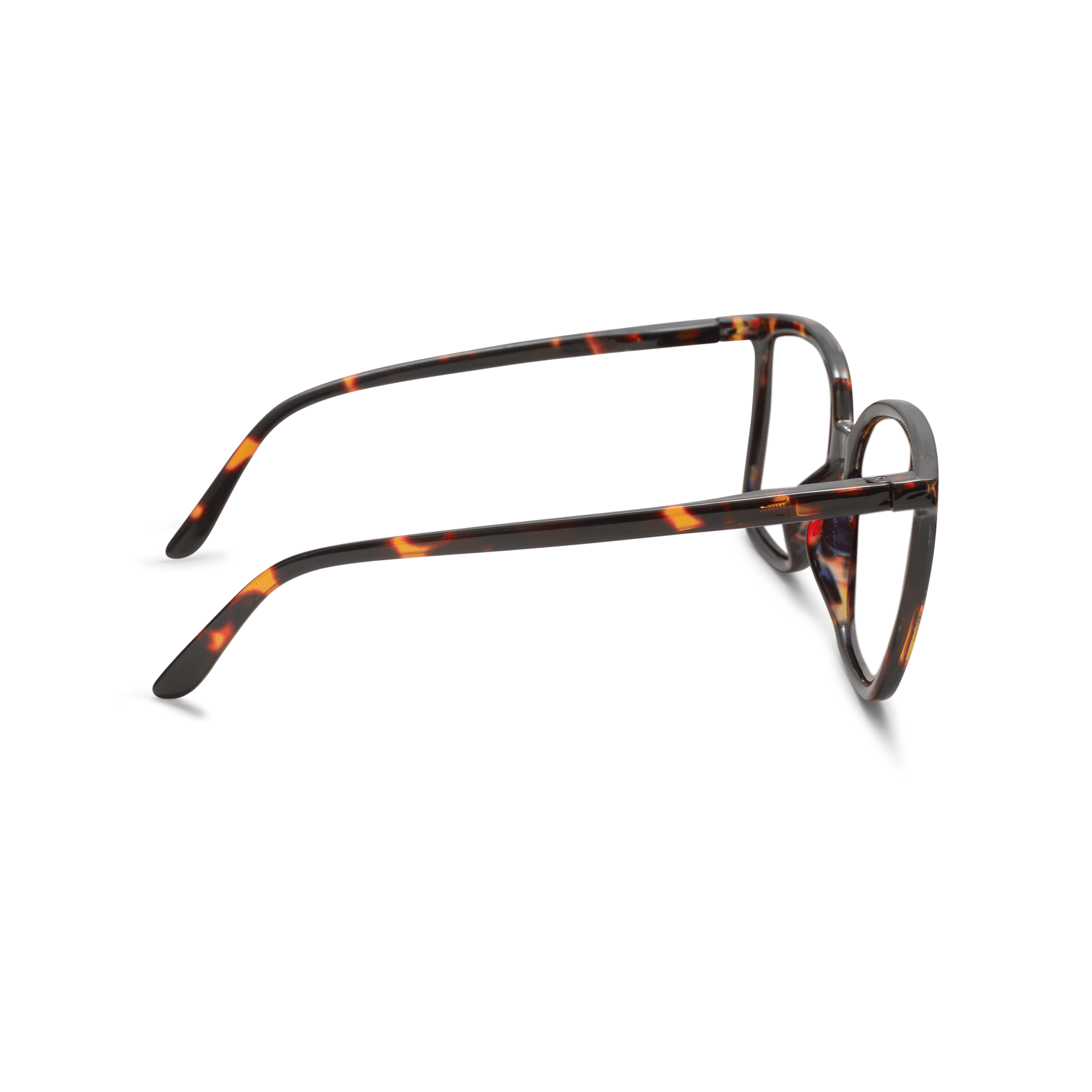 Clear lens glasses Nymph - tortoise