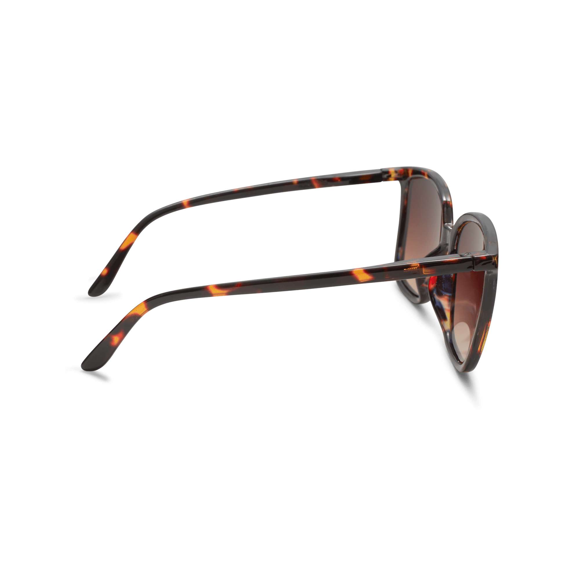 Sunglasses Nymph - tortoise